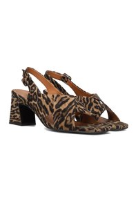 Billi Bi Sandalen - leopardo cuoio suede