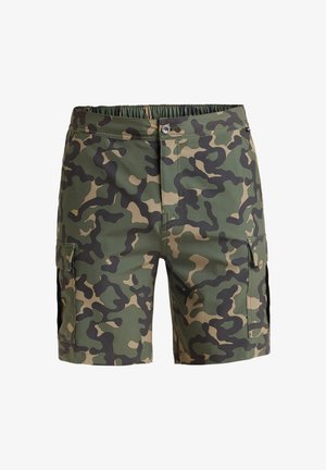Quiksilver, HALF JAM 19 - Zwemshorts - green