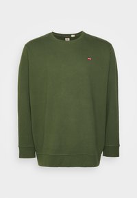 Não selecionado, mossy green