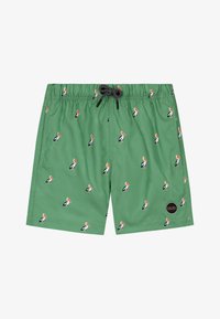 Neizvēlēts, sage green