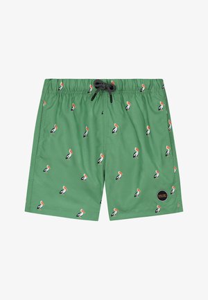 Shiwi REGULAR - Uimashortsit - sage green
