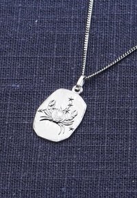 Silver necklace with a pendant featuring an engraved crab and stars on a textured dark blue fabric background.