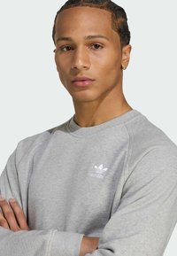 Grå sweatshirt med långa ärmar, med rund halsringning och vitt Adidas-logotyp på vänster bröst. Tyget verkar mjukt och strukturerat.