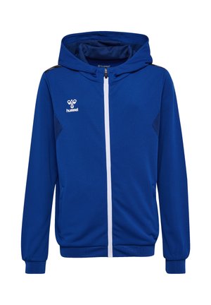 To børn iført blå sportsjakker og marineblå bukser står mod en neutral baggrund; den ene ser frem, den anden ser ned.