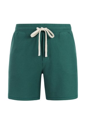 PROTEST SHORTS - Jogginghose - dark teal