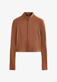Selected, camel