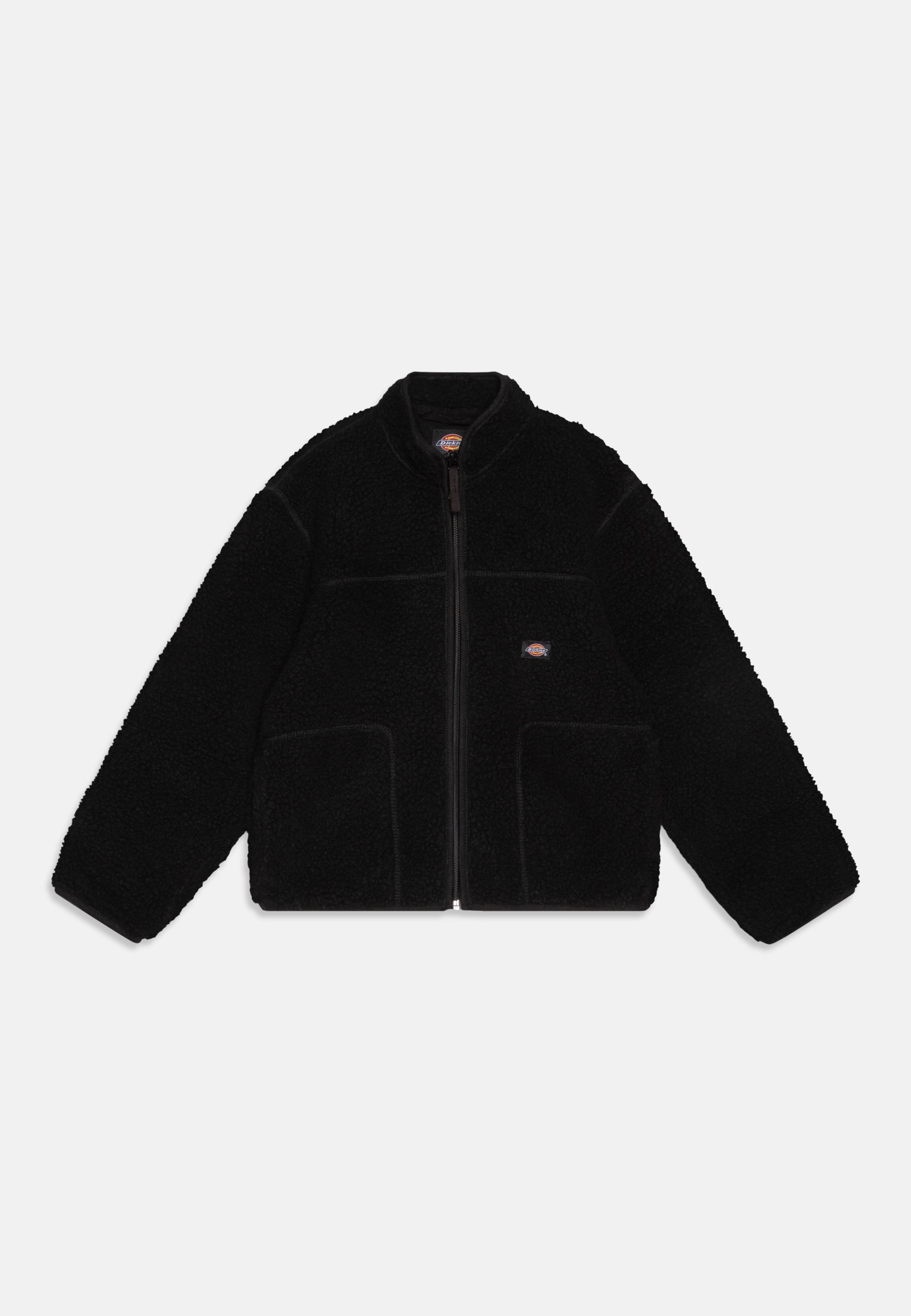 Dickies MOUNT HOPE Veste polaire black/noir