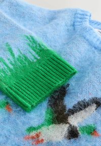 Light blue knitted sweater with a fuzzy texture. Features a green ribbed cuff and a bird design in black, white, and colorful accents.