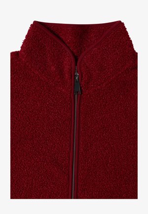 Cecil, TEDDY-JACKE MIT STEHKRAGEN IN UNIFARBE - Veste polaire - russet red