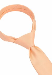 Seidenfalter Tie - apricot