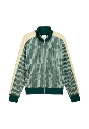 Grün-creme gestreifte Jacke mit Reißverschluss, gerippten Bündchen und Kragen, Fronttaschen und vertikalem Nadelstreifenmuster.