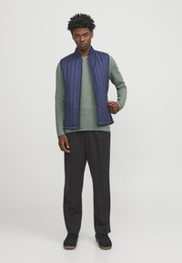 Jack & Jones CREW NECK NOOS - Trui - pad