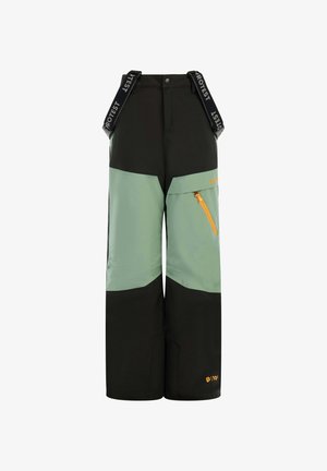 Skipakken met verstelbare bandjes, voorzien van zwarte en lichtgroene kleurvlakken, waterdichte stof, een ritssluitingzak en logodetail.