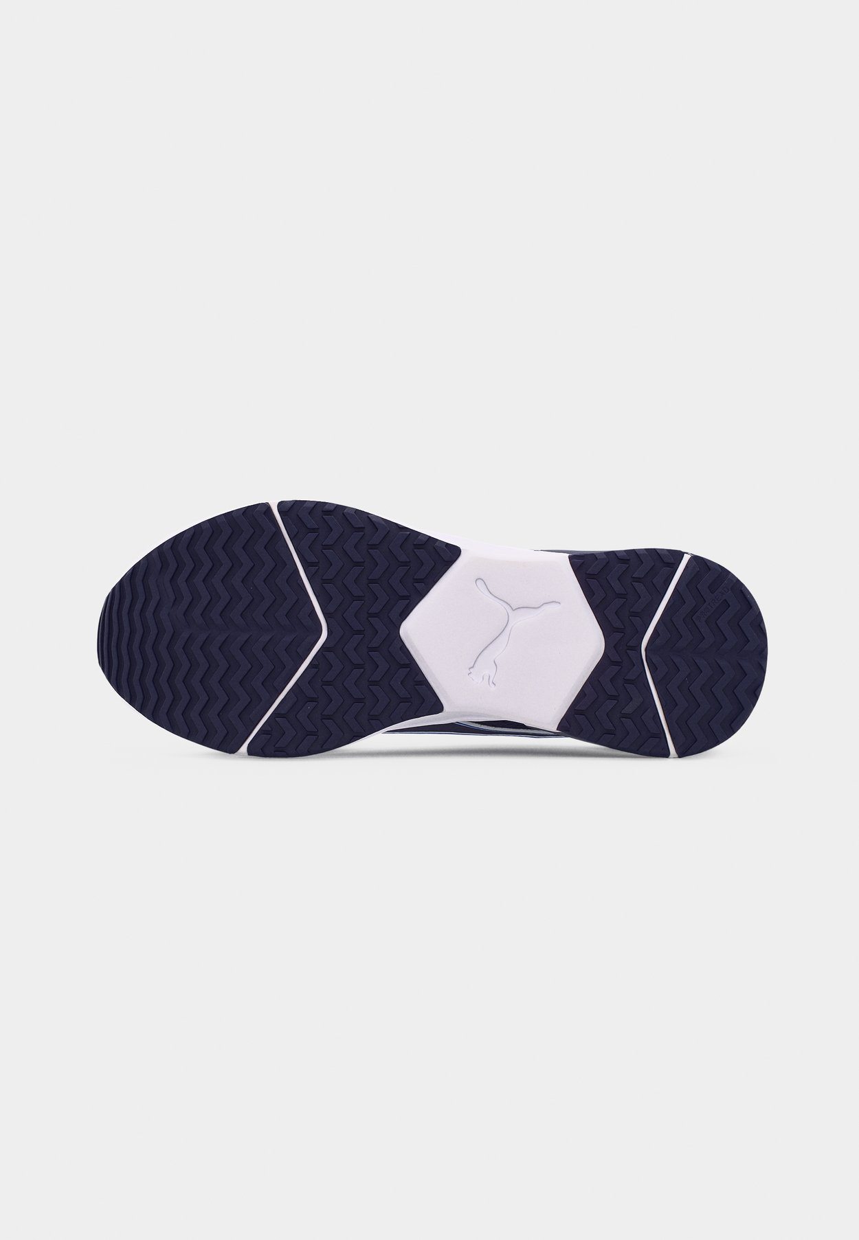 DISPERSE XT 4