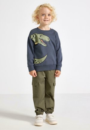 Felpa blu con grafica di un dinosauro, abbinata a pantaloni cargo verde oliva e sneakers bianche. Il tessuto sembra morbido e informale.