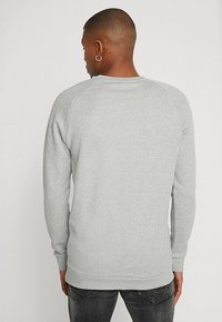 Ljusgrå sweatshirt i bomullsblandning, raglanärmar, ribbad fåll och ärmslutar, slät textur, bakvy som visar en minimalistisk design.