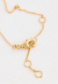 Gold chain necklace featuring a lobster clasp, linked circles, and a delicate texture, set against a white background.