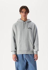 Dickies PHANTER HOODIE - Jersey con capucha - grey
