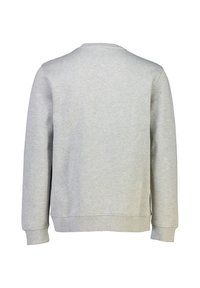 Felpa grigia con maniche lunghe, design a girocollo, polsini e orlo a costine, texture liscia e senza marchi o grafiche visibili.