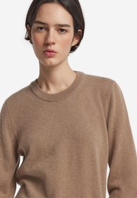 Brauner Wollpullover mit Rundhalsausschnitt, feiner Strickstruktur und langen Ärmeln, getragen von einem Modell vor einem schlichten weißen Hintergrund.