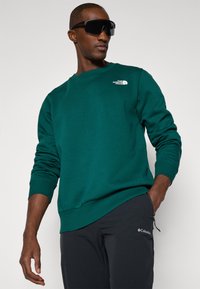 Green sweatshirt made of cotton blend, featuring long sleeves and a crew neck, with "The North Face" logo on the chest. Black pants with logo.