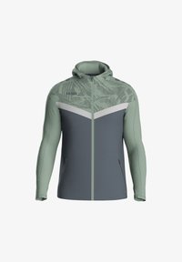 Unausgewählt, graugruen