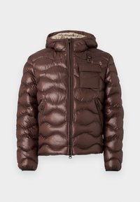 BRYANT - Vinterjakke - dark brown