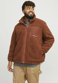 Jack & Jones JORVESTERBRO  - Vinterjakker - brown
