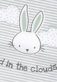 Tecknad kanin med långa öron med gröna toppar, grå och vit randig bakgrund, plus fluffiga moln och text nedanför som säger "drömde i molnen."