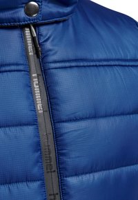 Chaqueta acolchada azul con una textura suave y brillante, costuras horizontales y una cremallera oscura con detalle de logo en la parte delantera.