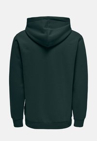 Felpa verde scuro con cappuccio regolabile, maniche lunghe e orlo a coste. Tessuto morbido con una consistenza liscia e senza motivi o accenti visibili.