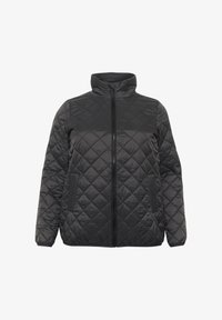Unselected, black oyster