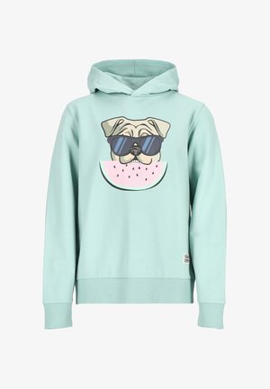 SAN DIEGO - Pulover s kapuco - sage green watermelon