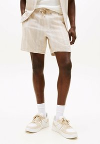 Tommy Jeans REGULAR - Shorts - silt stripes