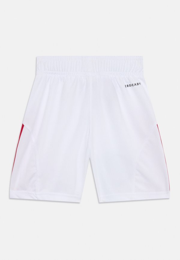 AJAX AMSTERDAM  - Sports shorts2