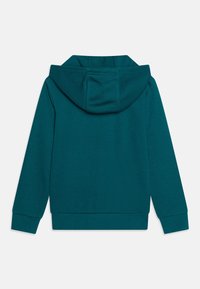 Teal hoodie with a large, double-layered hood, long sleeves, and ribbed cuffs. Smooth, soft fabric with a clean, unembellished design.