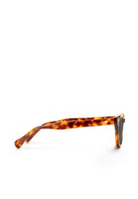 XLAB Occhiali da sole - dark avana-dark green