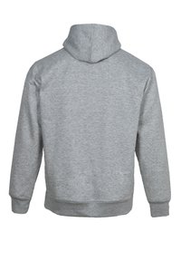Felpa grigia chiara con cappuccio vista di spalle, con maniche lunghe e polsini e orlo a costine.