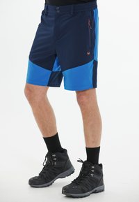 Whistler AVIAN ACTIV STRETCH - Friluftsshorts - skydiver