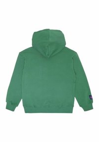 Sudadera verde con una capucha amplia, puños y dobladillo de canalé. Textura suave con un diseño sencillo. Una pequeña etiqueta morada en la manga izquierda.
