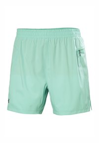 Světlé máta zelené sportovní šortky s elastickým pasem, bočními kapsami a kapsou na zip. Vyrobené z hladké, lehké tkaniny.