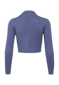 Cropped long-sleeve sweater in a soft blue knit. Features a rounded neckline and seamless design with a smooth texture throughout.