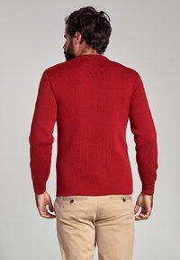 Maglione lavorato a maglia rossa con un motivo testurizzato, collo rotondo e maniche lunghe indossato sopra pantaloni beige chiaro. Dettagli discreti sulle maniche.