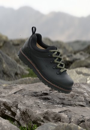 Schwarzer Wanderschuh mit grünen Schnürsenkeln, der über felsigem Terrain und unscharfem Berg-Hintergrund schwebt.