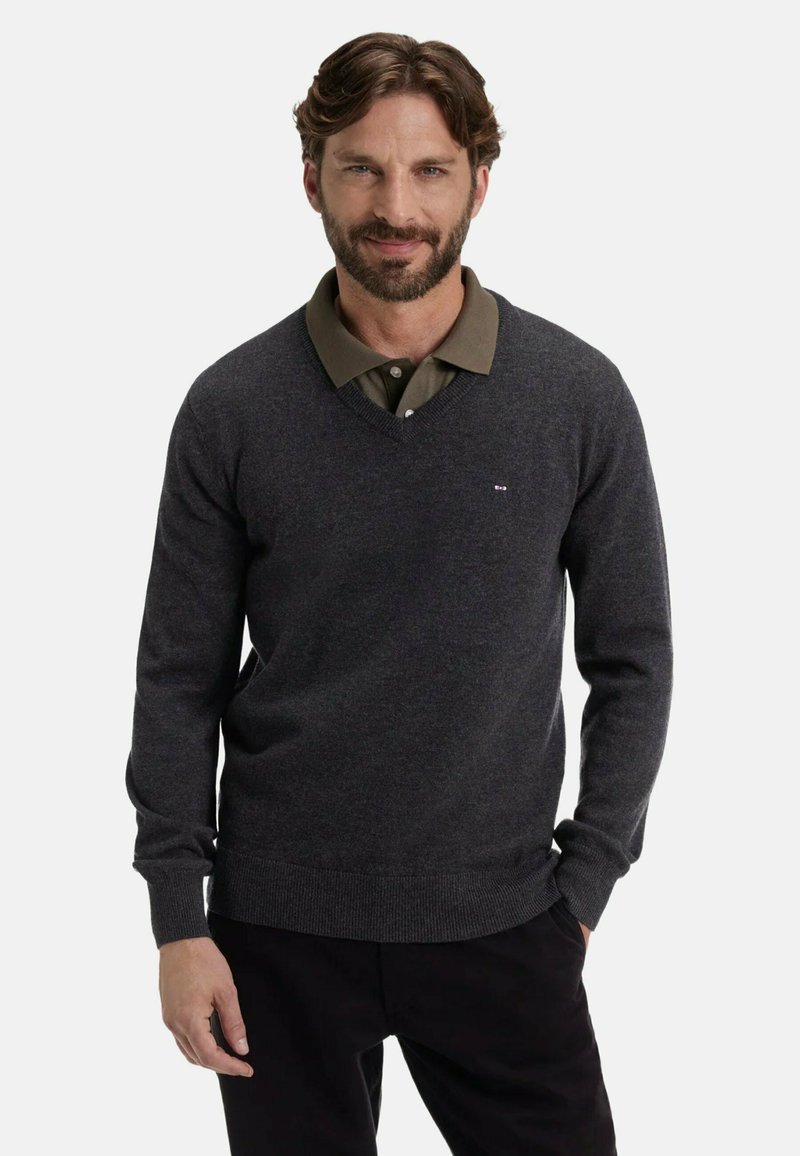 Homme aux cheveux bruns et à la barbe, portant un pull en V gris foncé par-dessus une chemise à col vert olive, debout avec les mains dans les poches sur fond blanc.