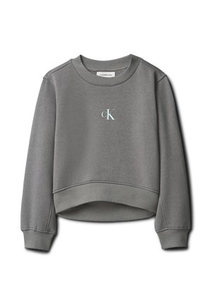 LOGO - Sweatshirt - granite gray