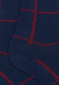 Calze blu con un motivo a griglia rossa. Realizzate in tessuto intrecciato, presentano una texture liscia e una leggera costina lungo i polsini.