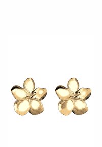 Kullast lillekujundusega kõrvarõngad, millel on viiepikaline disain, sile pind ja ümarad servad. Igal kõrvarõngal on keskel kinnituspunkt.