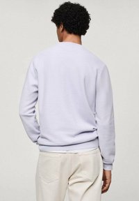 Sweatshirt de culoare violet deschis cu un finisaj texturat, guler rotund și mâneci lungi, purtat împreună cu pantaloni de culoare crem, văzut din spate.