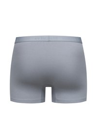 Gray boxer briefs made of soft, stretchy fabric. Features a smooth waistband with embossed branding and a fitted design.